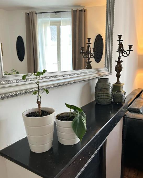 Chez La Vieille Dame Apartment Cosne-Cours-Sur-Loire